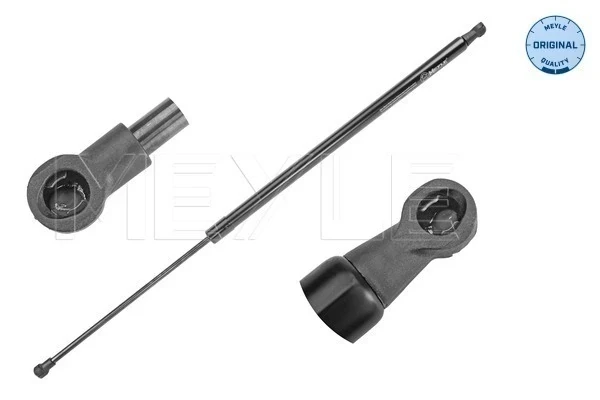 Amortecedor de tampa de porta-malas (de 3ª/5ª porta traseira) para Renault Scenic (JZ0)