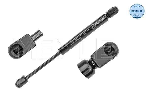 Amortecedor de tampa de porta-malas (de 3ª/5ª porta traseira) para Ford Focus (DA)