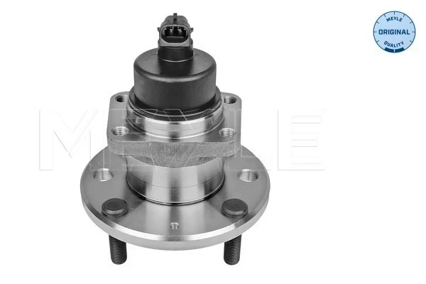 Cubo traseiro para Chevrolet Lacetti (J200)