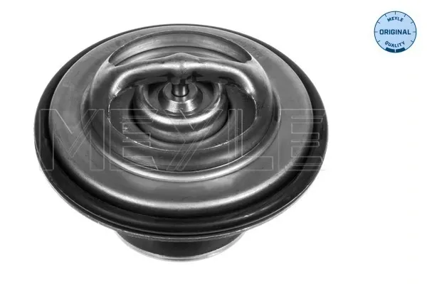 Termostato BMW 7 