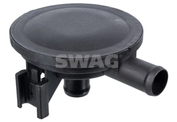 40100944 Swag