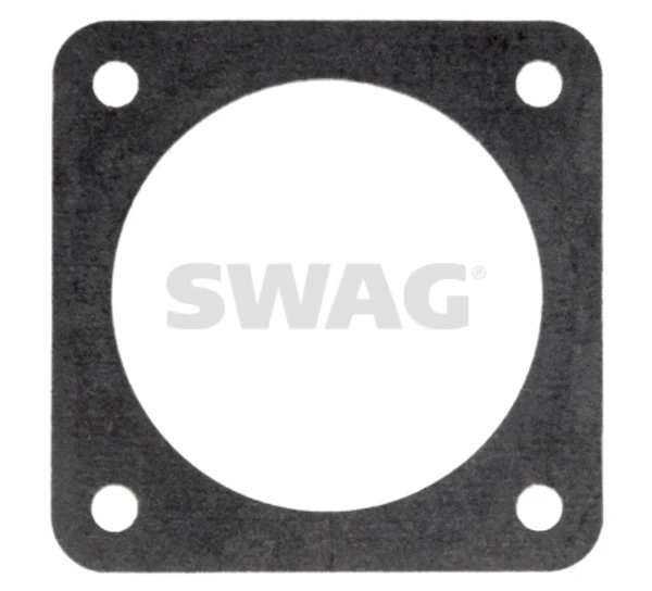 30103609 Swag