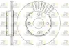 Disco do freio dianteiro Ford Focus 1 DAW, DBW