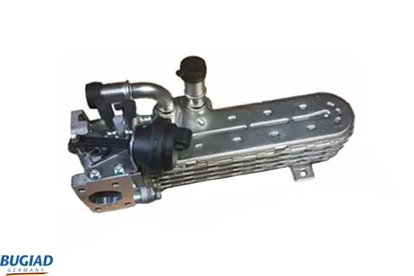 BGR13103 Bugiad