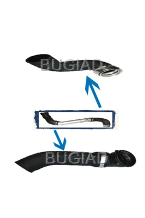 84615 Bugiad