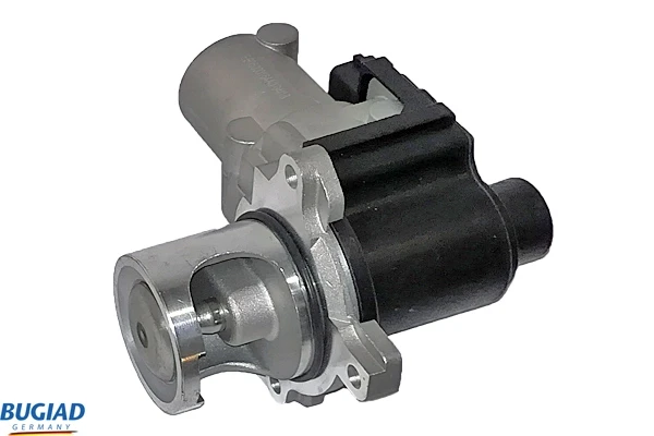 BGR13025 Bugiad
