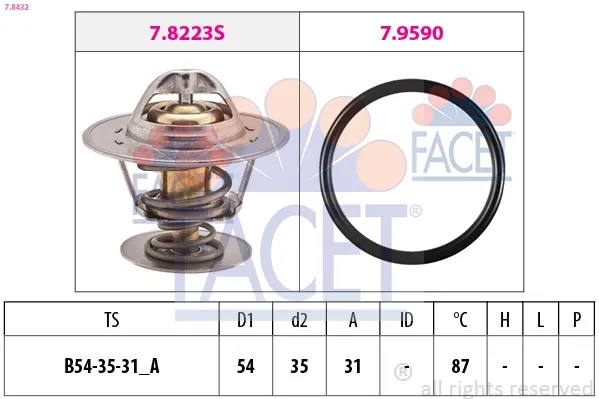 78432 Facet