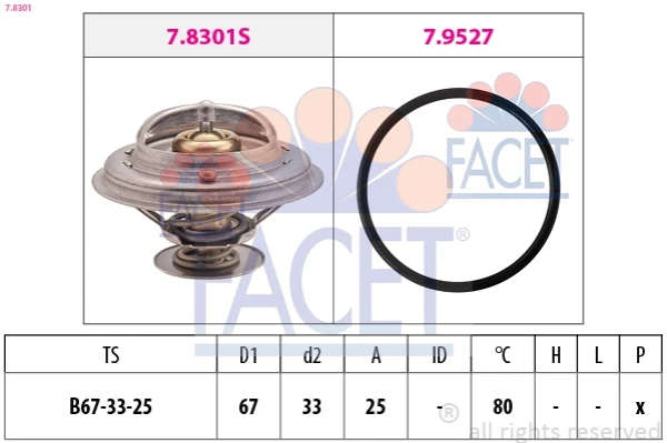 78301 Facet