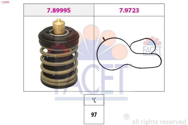 78999 Facet