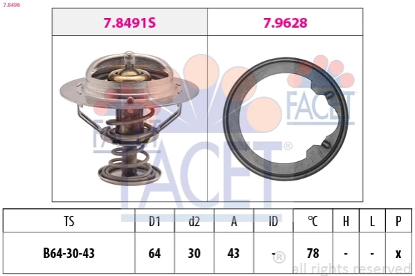 78496 Facet