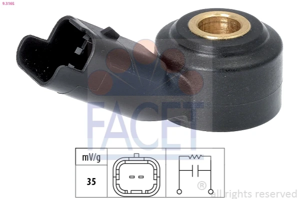 93165 Facet