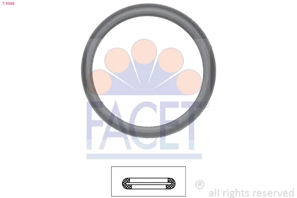 79598 Facet