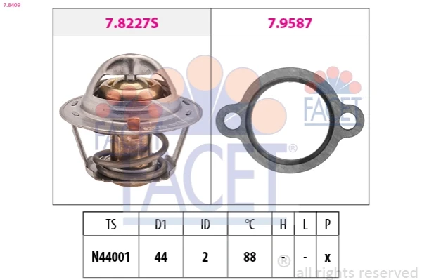 78409 Facet