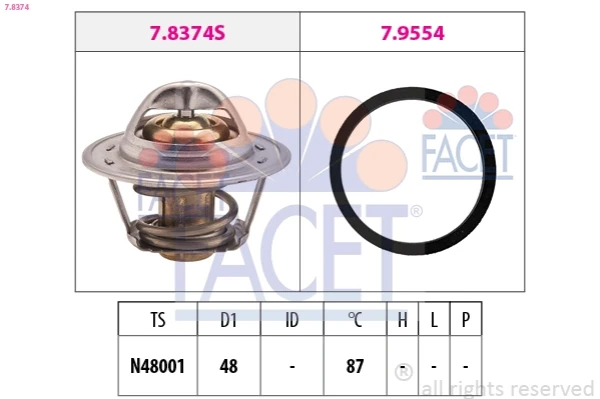 78374 Facet