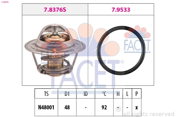 78376 Facet