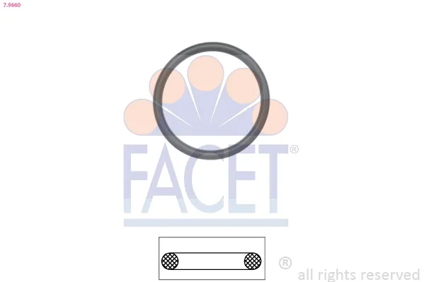 Vedante de termostato Volkswagen Tiguan I