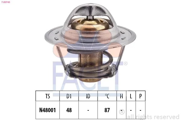 Termostato 78374S Facet