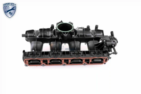 V103954 VEMO/Vaico