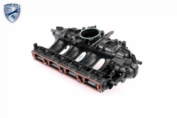V103954 VEMO/Vaico