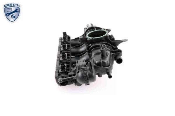 V103954 VEMO/Vaico