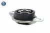 Coxim de transmissão (suporte da caixa de mudança) Fiat 500 312