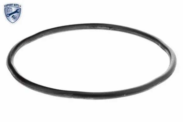 Caixa de filtro de combustível Peugeot 206 2A/C