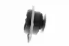 Coxim (suporte) traseiro de motor Fiat Brava 182