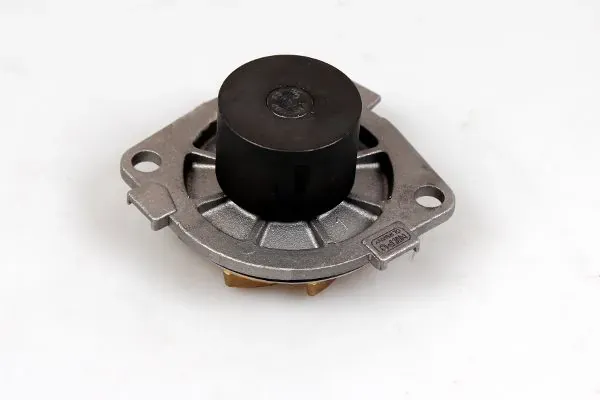 Bomba de água (bomba) de esfriamento P1053 Hepu