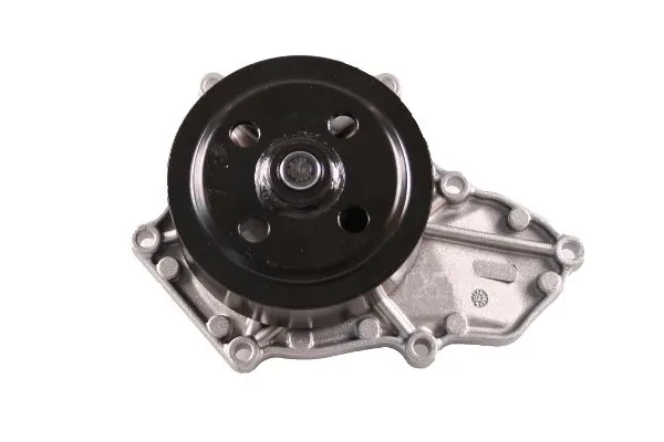P7841 Hepu