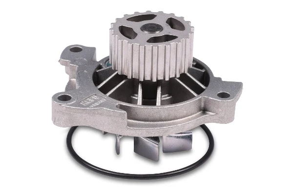 P536 Hepu