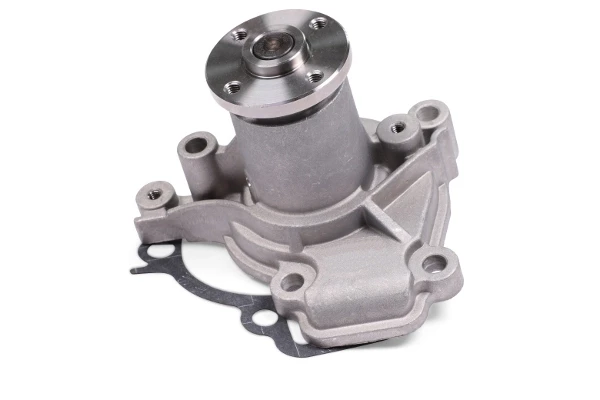 P7971 Hepu