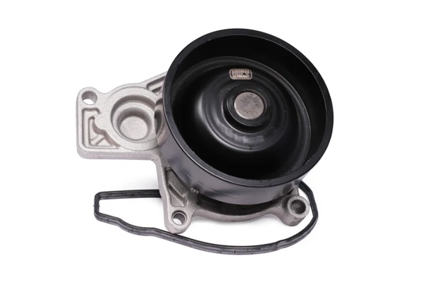 P433 Hepu