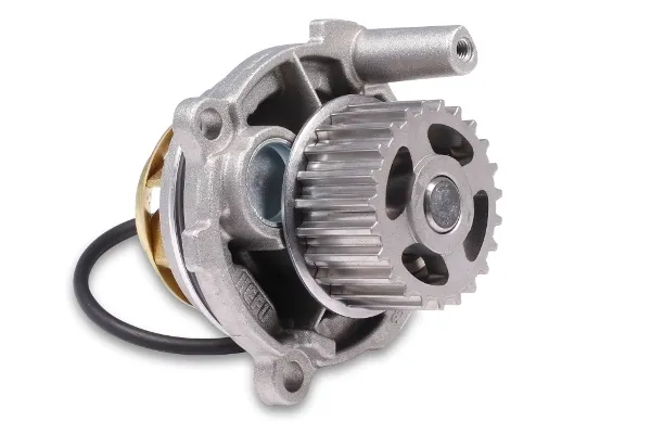 P572 Hepu