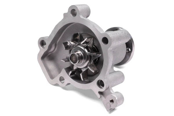 P7971 Hepu