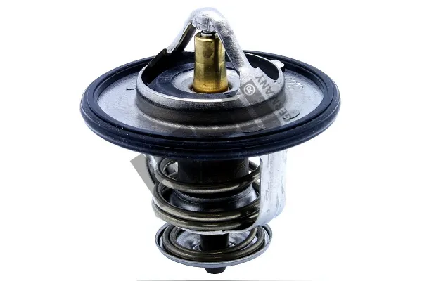 Termostato TM1315 Hepu
