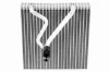 V10650007 Vemo