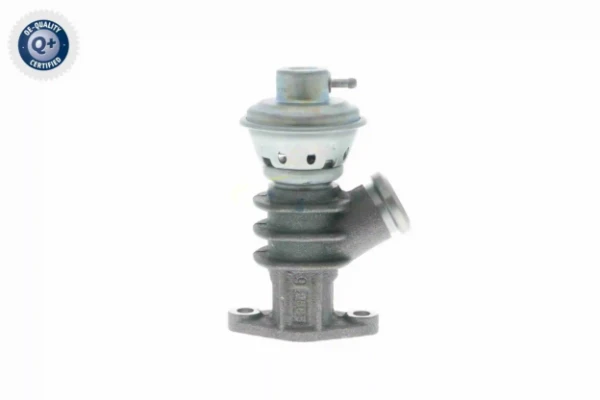 V22630010 Vemo