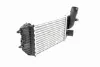 Radiador de intercooler Citroen Jumper 244