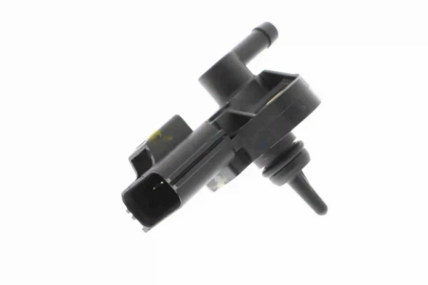 V25721303 Vemo