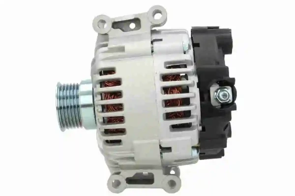 V301350010 Vemo