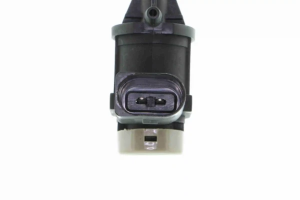 V10630065 Vemo