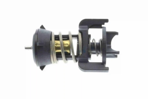 V15992100 Vemo