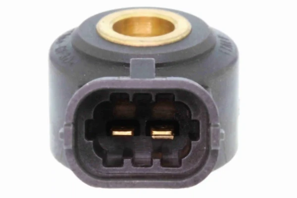 V70720015 Vemo