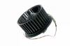 V15031896 Vemo