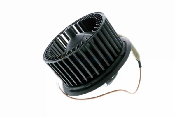 V15031896 Vemo