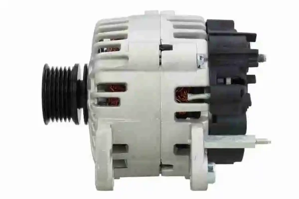 V101350061 Vemo