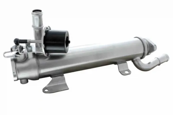 V10630124 Vemo