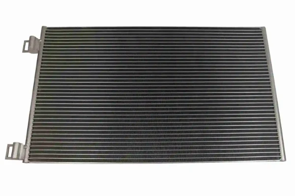V46620021 Vemo