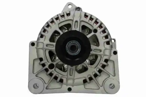 V461350008 Vemo