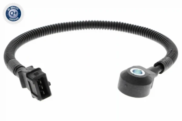 V53720050 Vemo